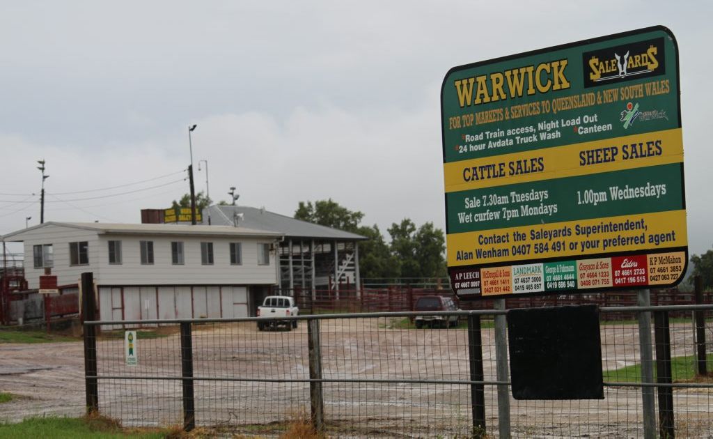 Warwick Saleyards